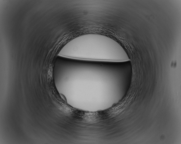 X0000100920240200806241121