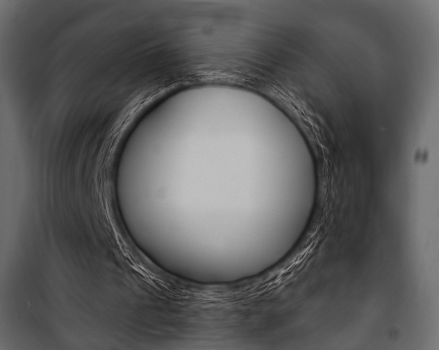 X0000100920241200806241120