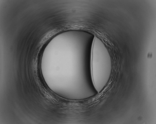 X0000100920242200806241120