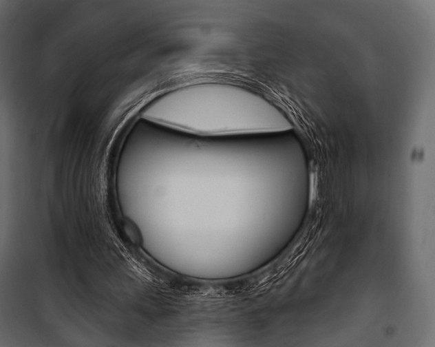 X0000100920243200806241120