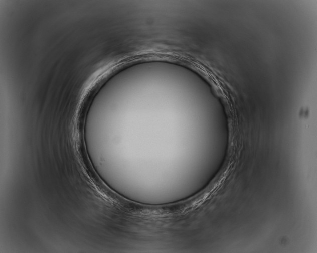 X0000100920245200806241120