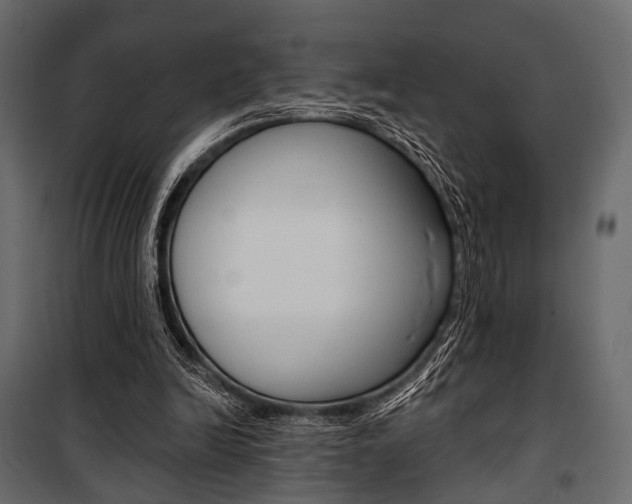 X0000100920246200806241120