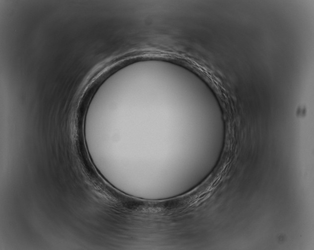 X0000100920247200806241120