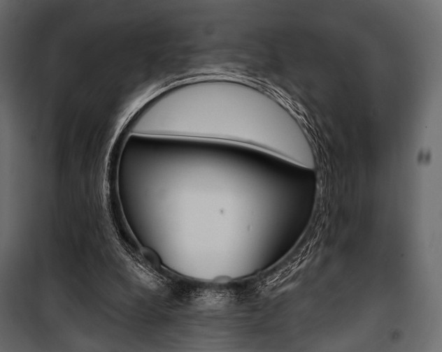X0000100920248200806241120