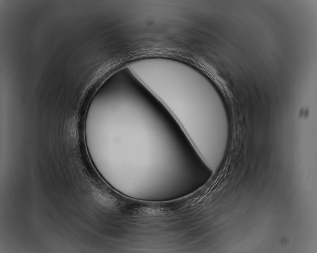 X0000100920250200806241120