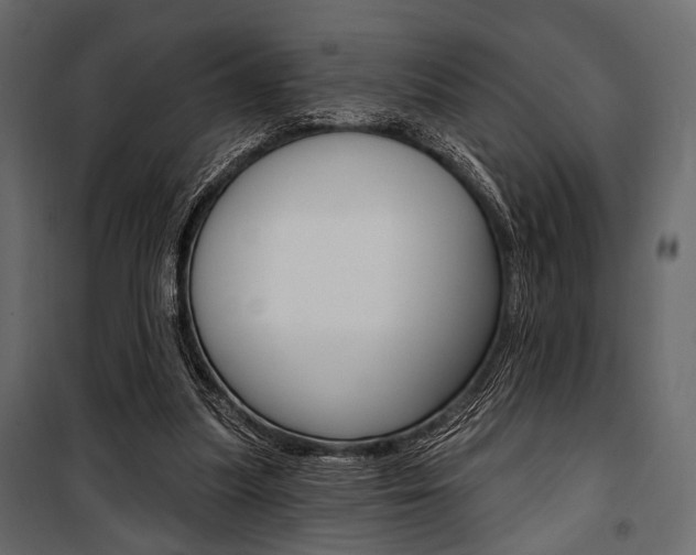 X0000100920251200806241120