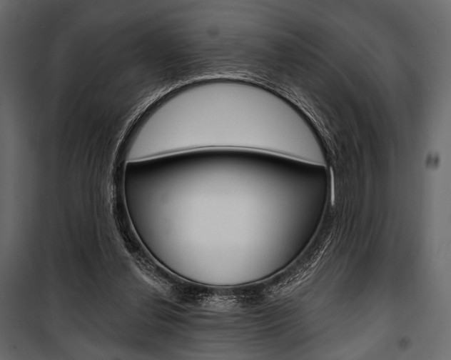 X0000100920252200806241120