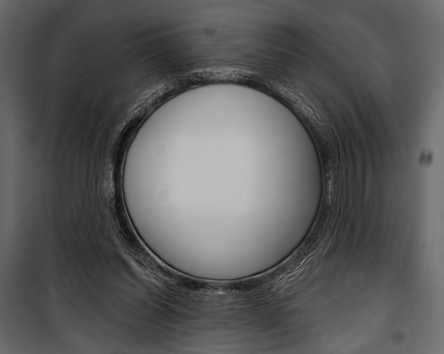 X0000100920254200806241120
