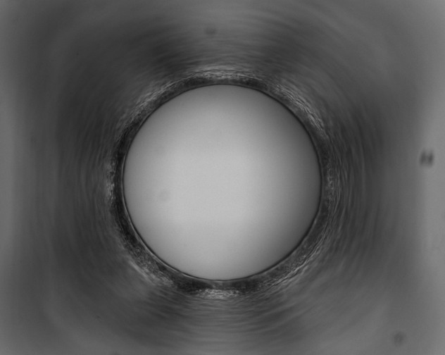 X0000100920255200806241120