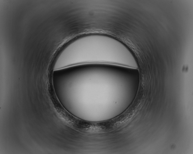X0000100920256200806241120