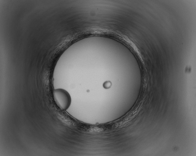 X0000100920257200806241120