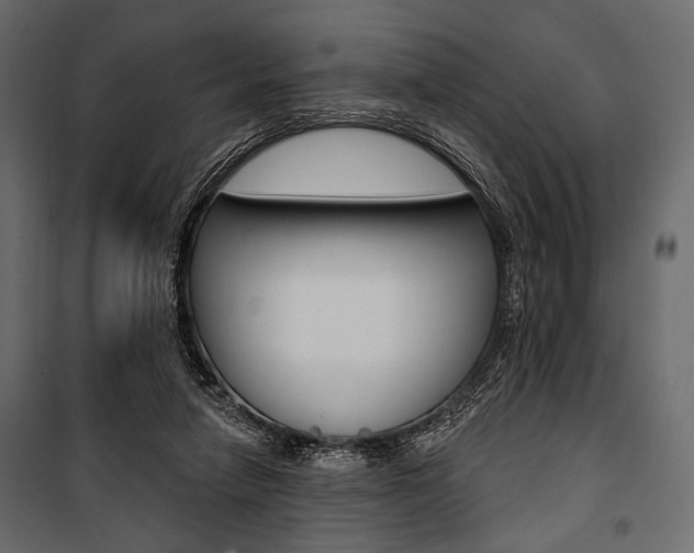 X0000100920258200806241120