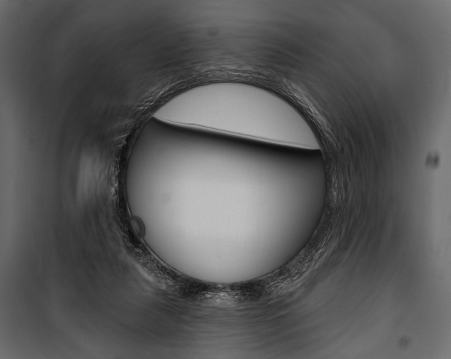 X0000100920259200806241120