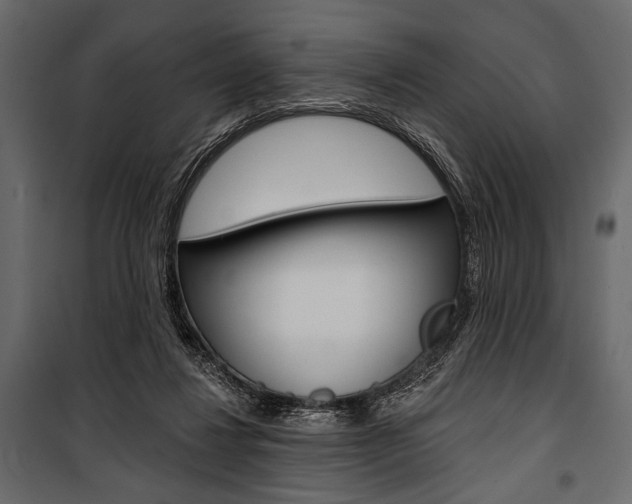 X0000100920260200806241120