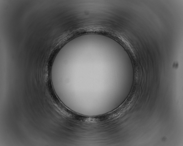 X0000100920261200806241120