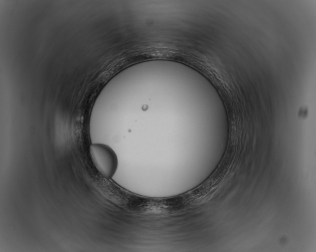 X0000100920263200806241120