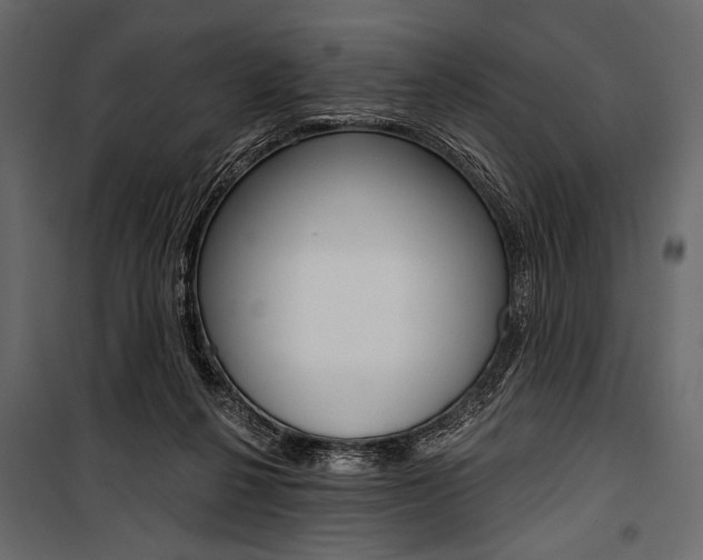 X0000100920264200806241120