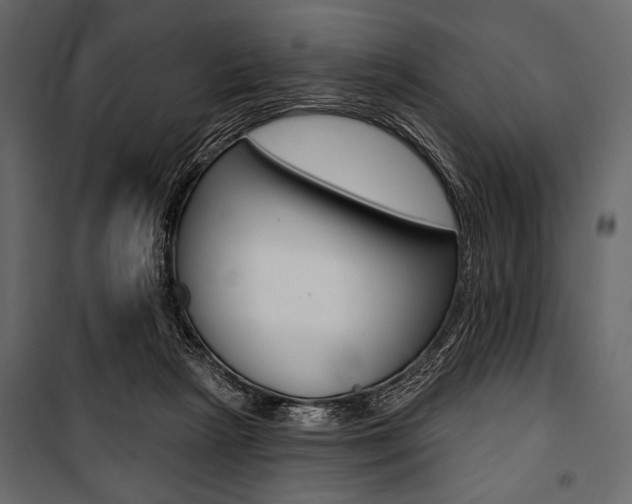 X0000100920265200806241120