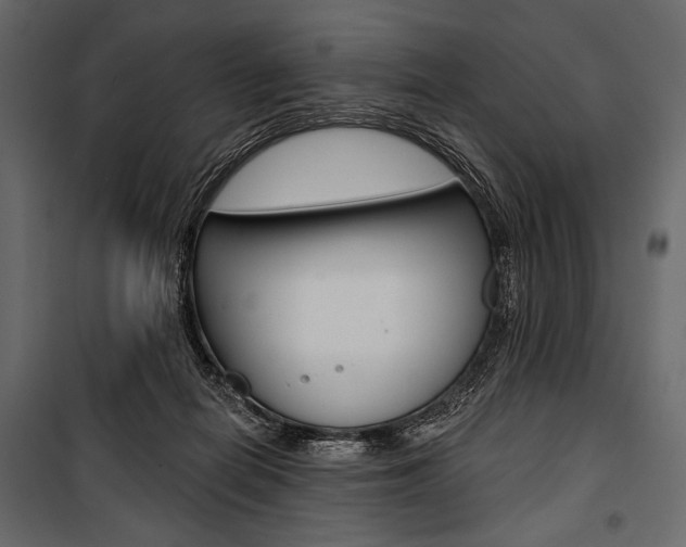 X0000100920266200806241120