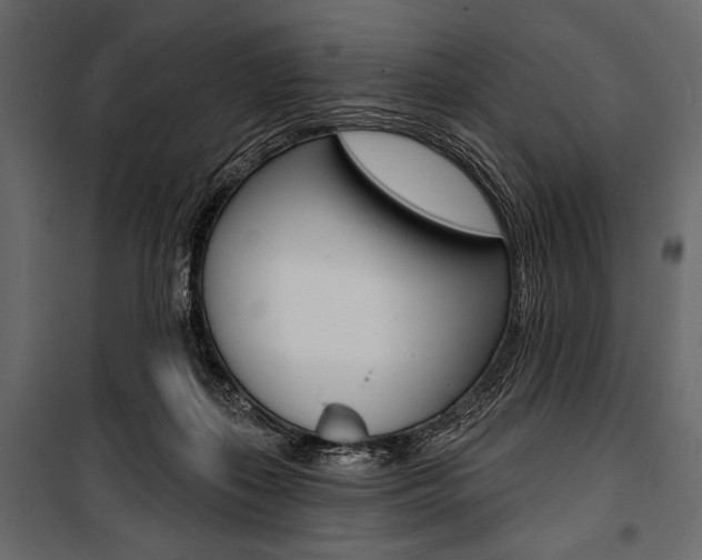 X0000100920267200806241120