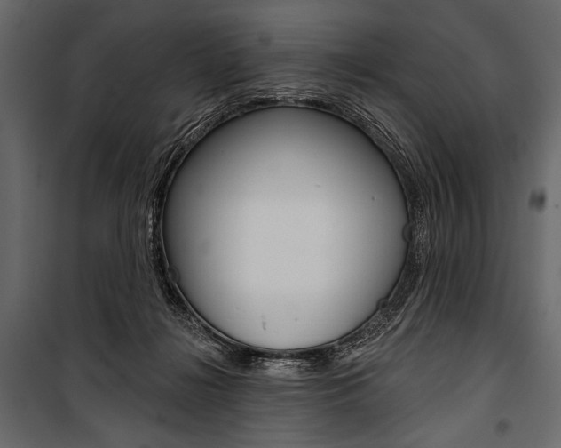 X0000100920268200806241120