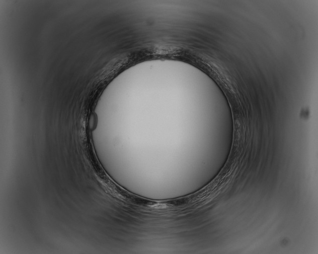 X0000100920269200806241120