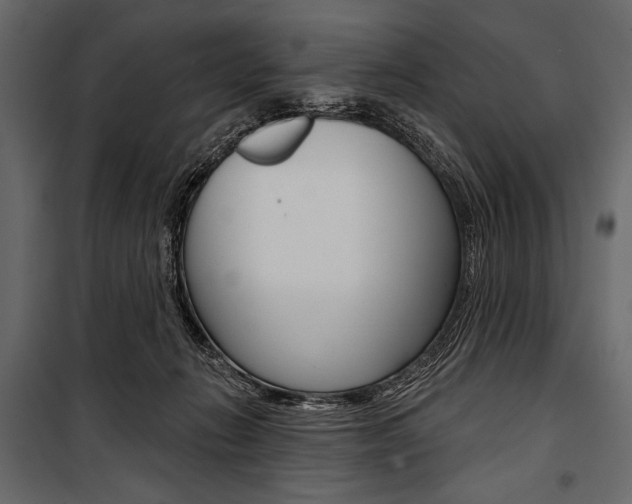 X0000100920270200806241120