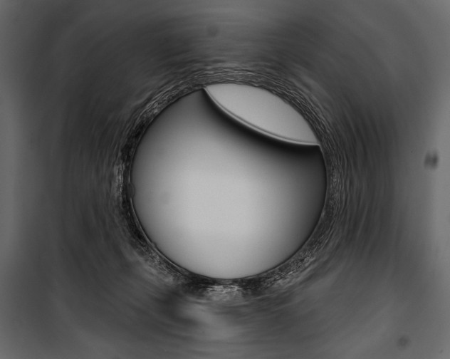 X0000100920271200806241120