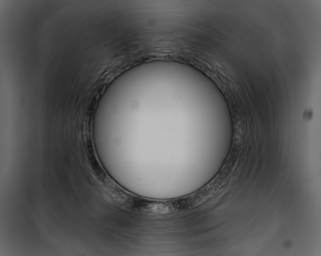 X0000100920272200806241120