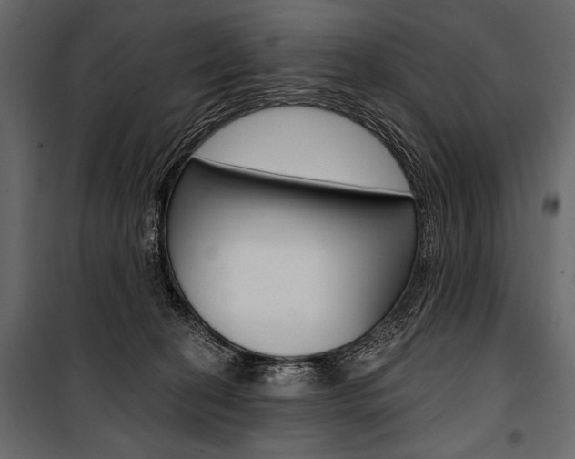 X0000100920274200806241120