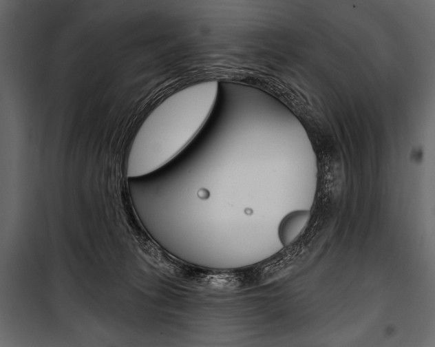 X0000100920275200806241120