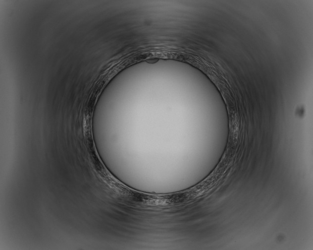 X0000100920276200806241120