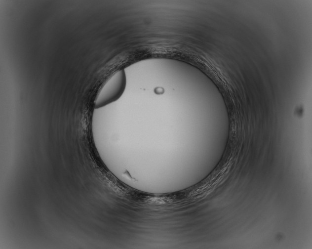 X0000100920277200806241120