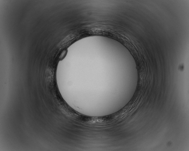 X0000100920278200806241120