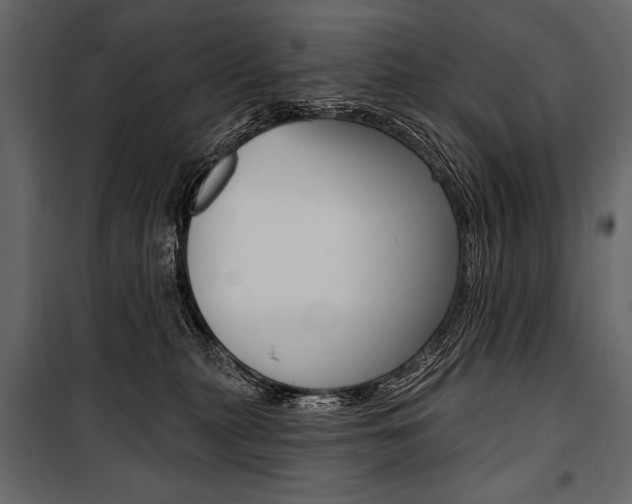 X0000100920279200806241120
