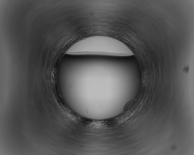 X0000100920280200806241120