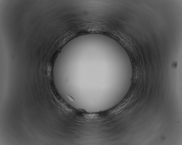 X0000100920281200806241120