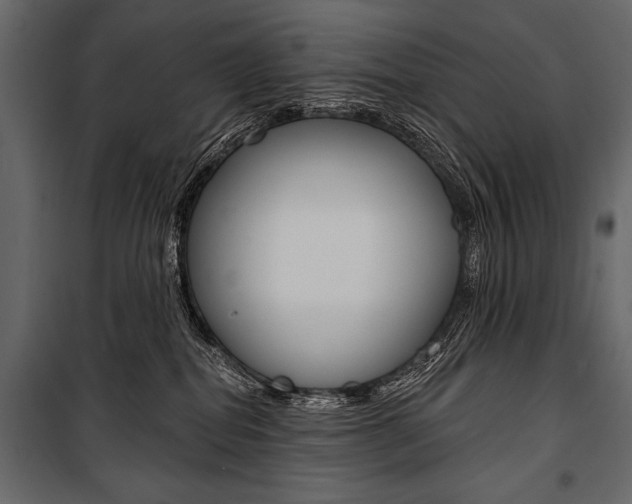 X0000100920282200806241120
