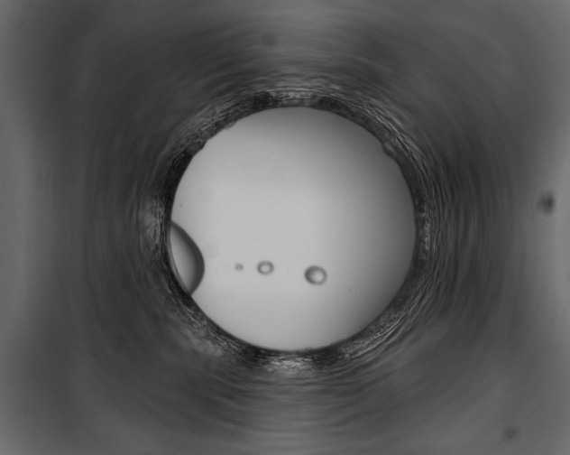 X0000100920283200806241120
