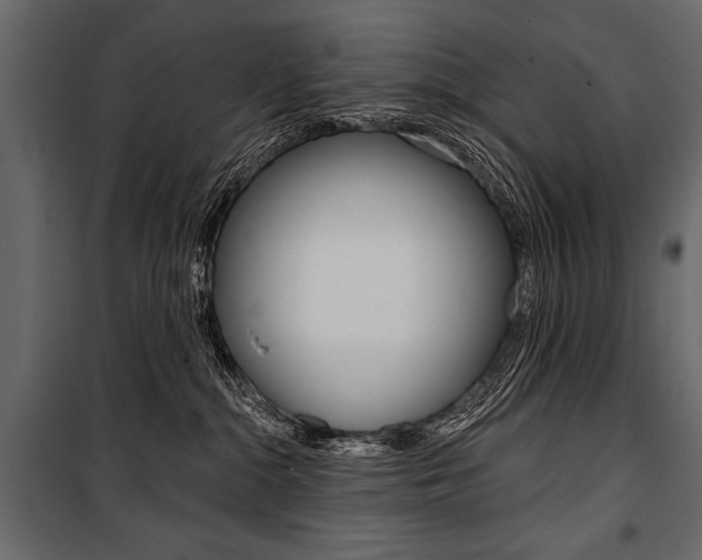X0000100920284200806241120