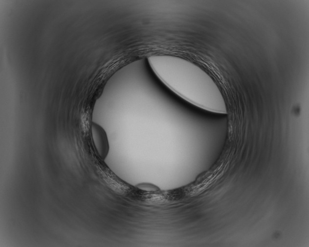 X0000100920285200806241120