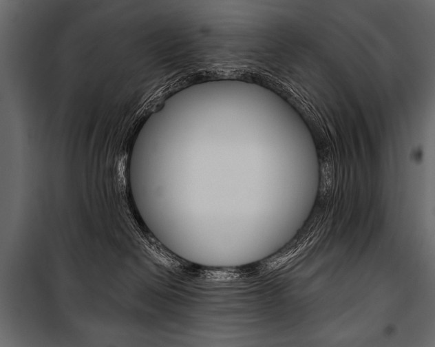 X0000100920286200806241120