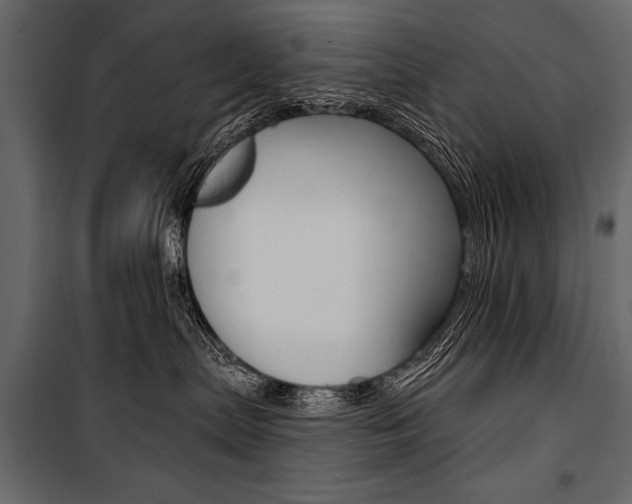 X0000100920287200806241120