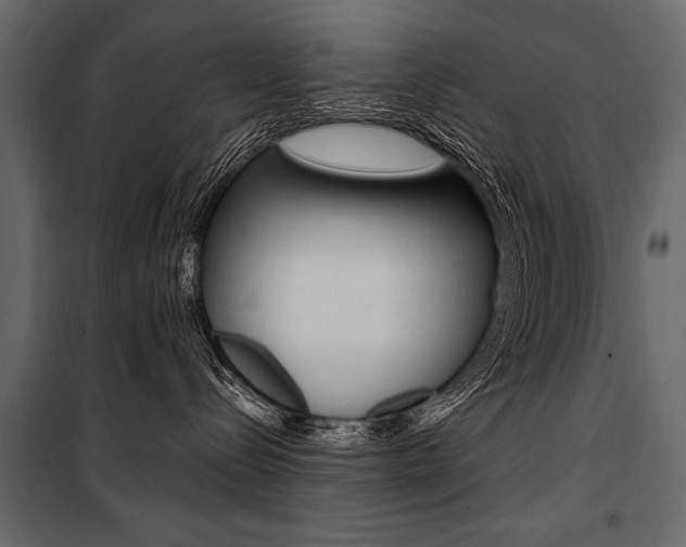 X0000100920288200806241120