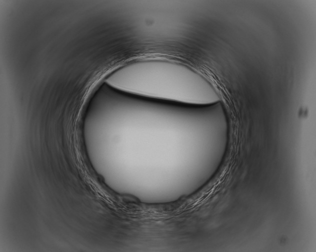 X0000100920289200806241120