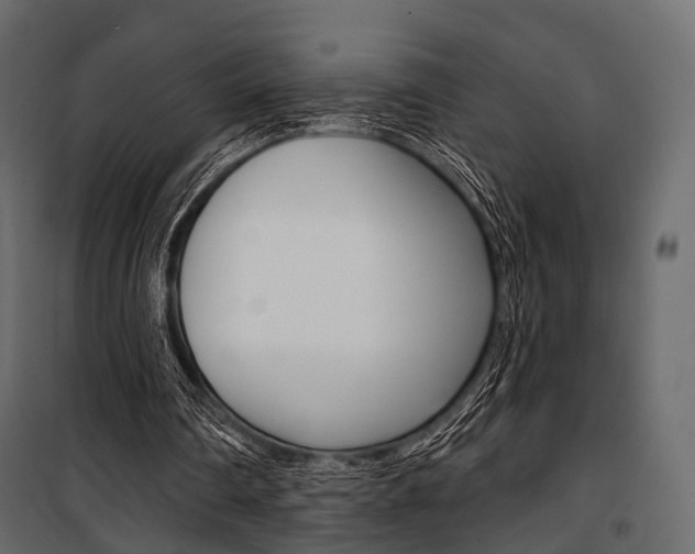 X0000100920290200806241120