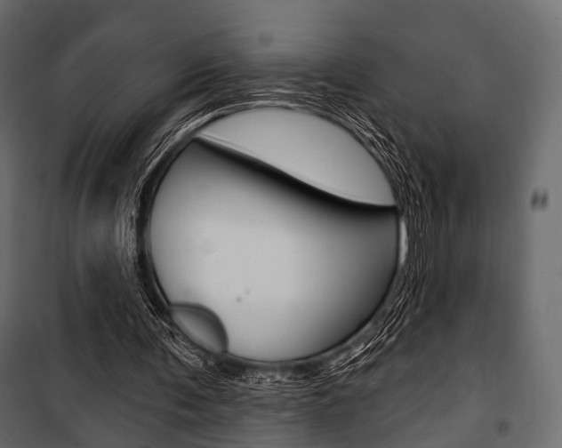 X0000100920291200806241120