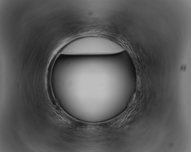 X0000100920292200806241120