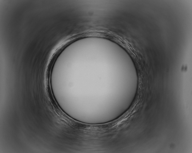 X0000100920294200806241120
