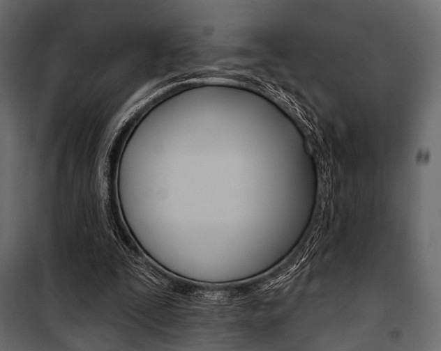 X0000100920295200806241120